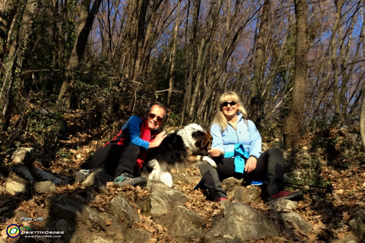 48 Bello salire nel bosco.JPG